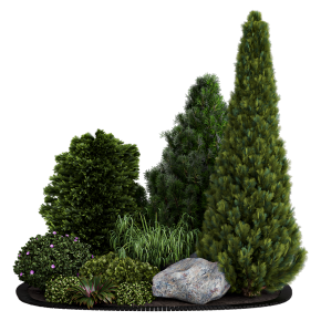 Alpine Hill 02