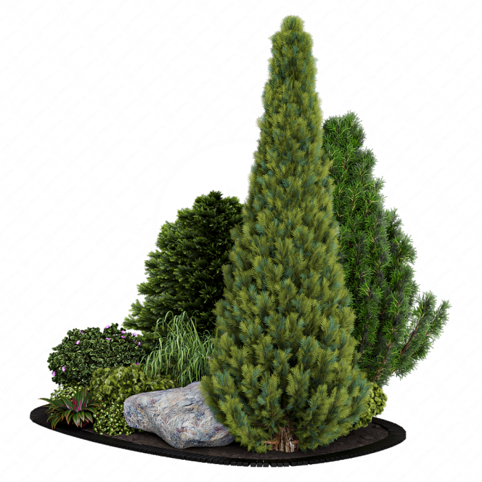 Alpine Hill 02 Alpine Hill 02