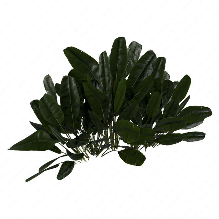 Куст Banana Outdoor Leaf Tropical Куст Banana Outdoor Leaf Tropical