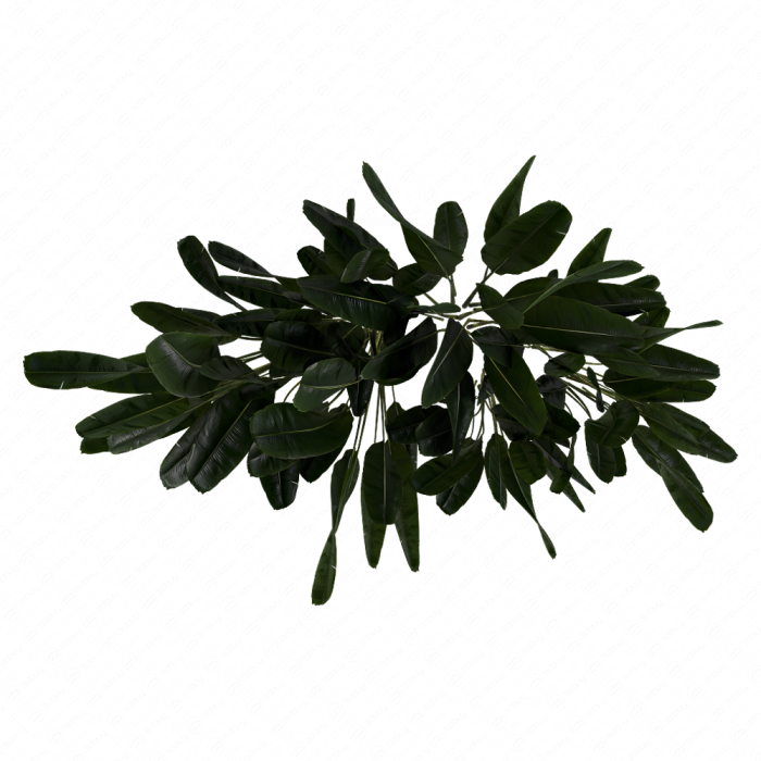 Куст Banana Outdoor Leaf Tropical Куст Banana Outdoor Leaf Tropical